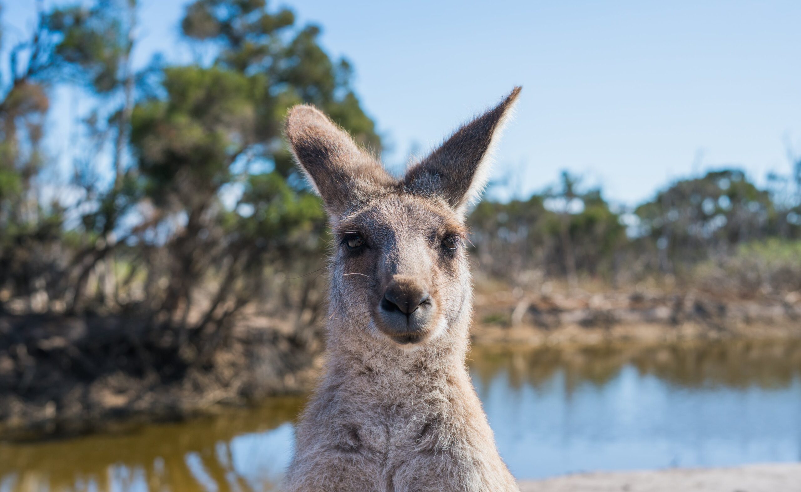 Australien