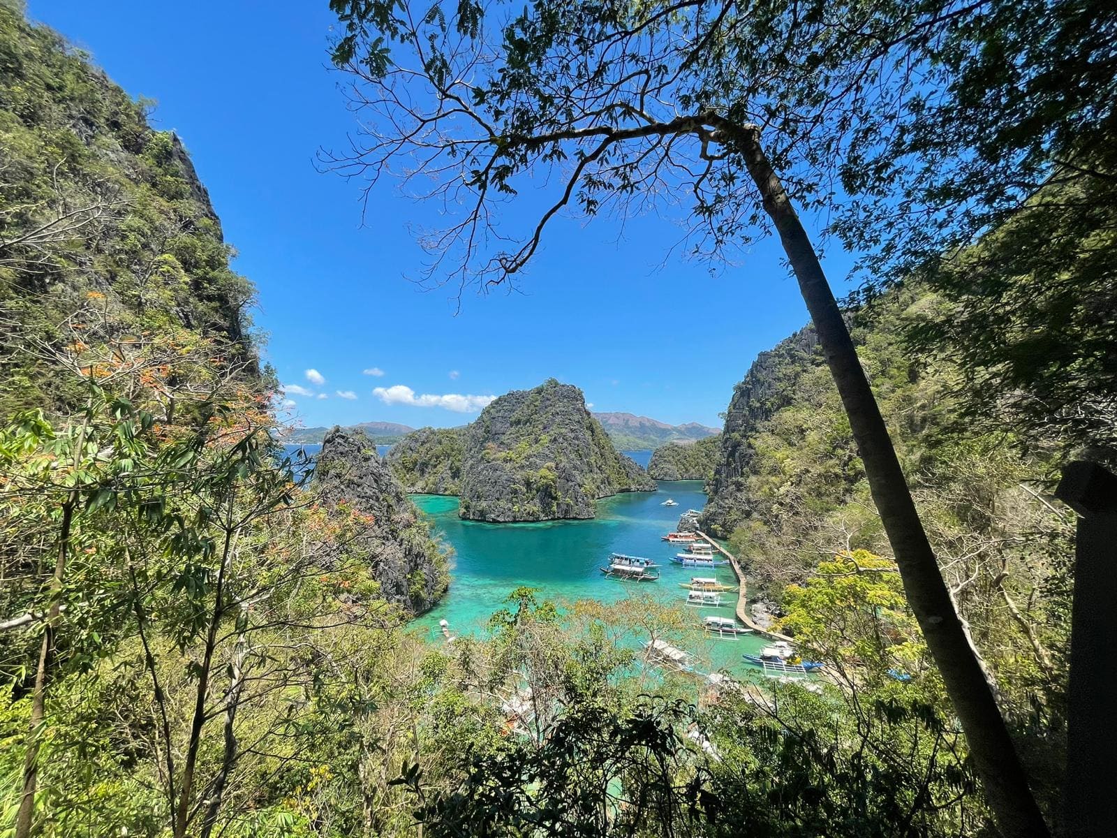 Coron